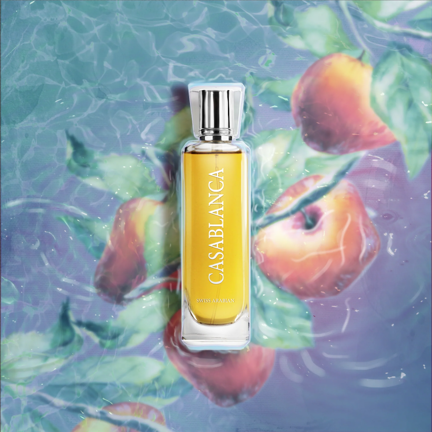 CASABLANCA EDP - 100ML